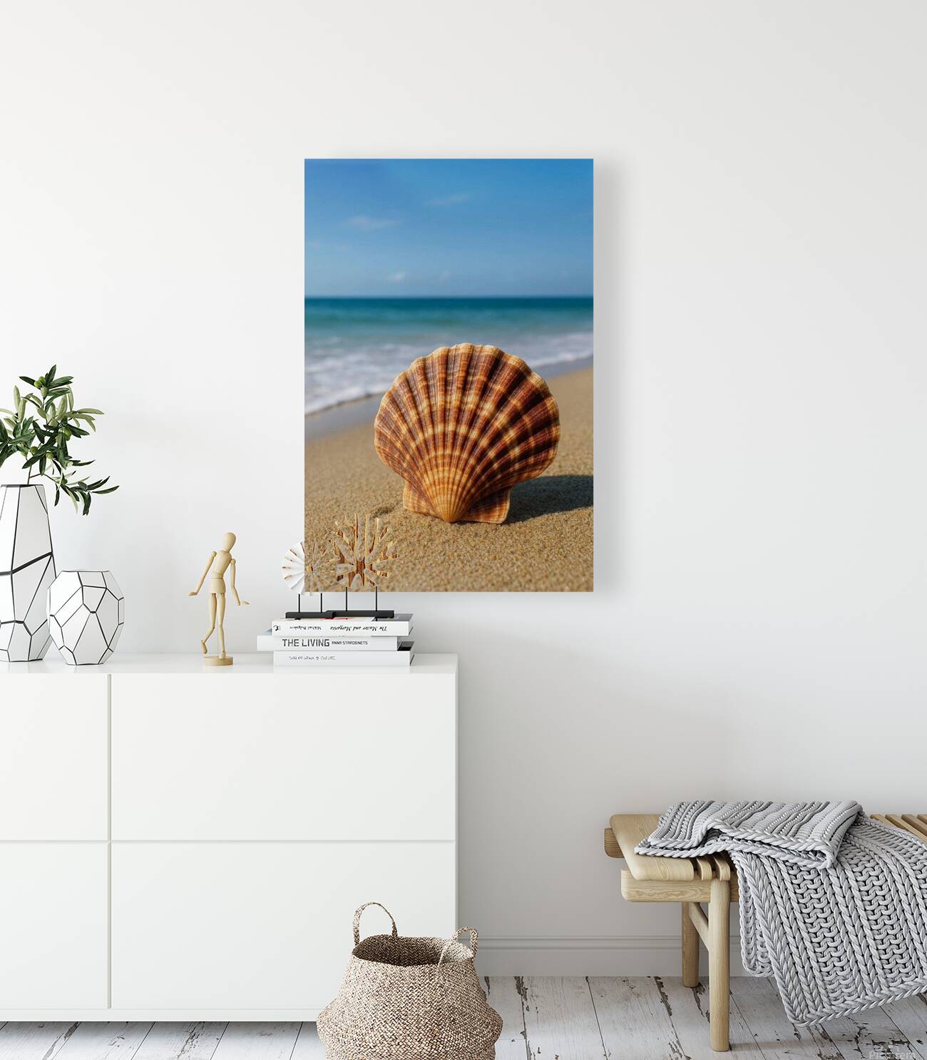 Sea Shell Reproduction