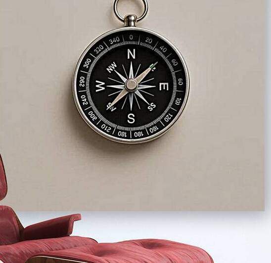 compass Reproduction