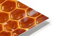 honeycomb BIG HD Metal print