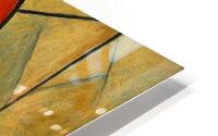 Two Parotts HD Metal print