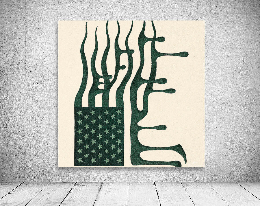 AmericanFlag Wall Preview