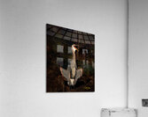 IMG 3527 Acrylic Print
