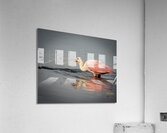 IMG 3381 Acrylic Print