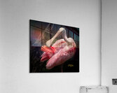 IMG 3115 Acrylic Print