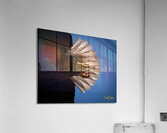 IMG 9379 Acrylic Print