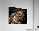 IMG 0265 Acrylic Print
