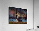 IMG 8752 Acrylic Print