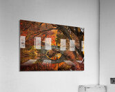 IMG 7296 Acrylic Print