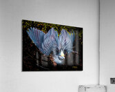 IMG 8044 Acrylic Print