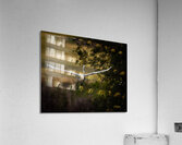 IMG 9819 Acrylic Print