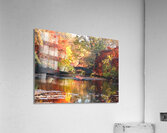 IMG 1580 Acrylic Print