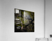 IMG 9744 Acrylic Print