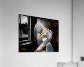 IMG 9131 Acrylic Print