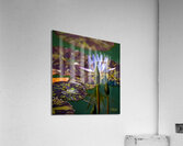 IMG 7391 Acrylic Print