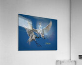 IMG 9590 Acrylic Print