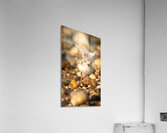 IMG 9684 Acrylic Print