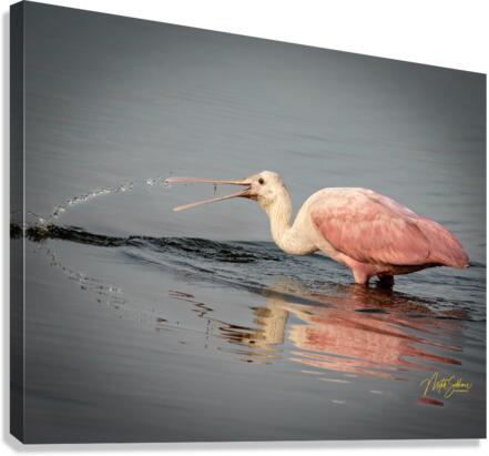 IMG 3381 Canvas Print