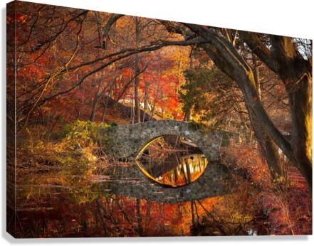 IMG 7296 Canvas Print