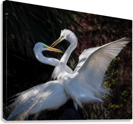IMG 9132 Canvas Print