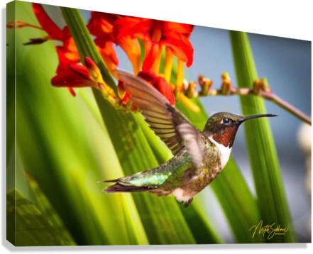 IMG 9466 Custom Canvas Print
