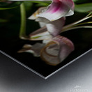 IMG 7392 Metal print
