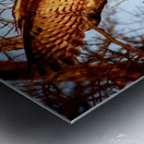 IMG 6447 Metal print