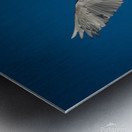IMG 9673 Metal print