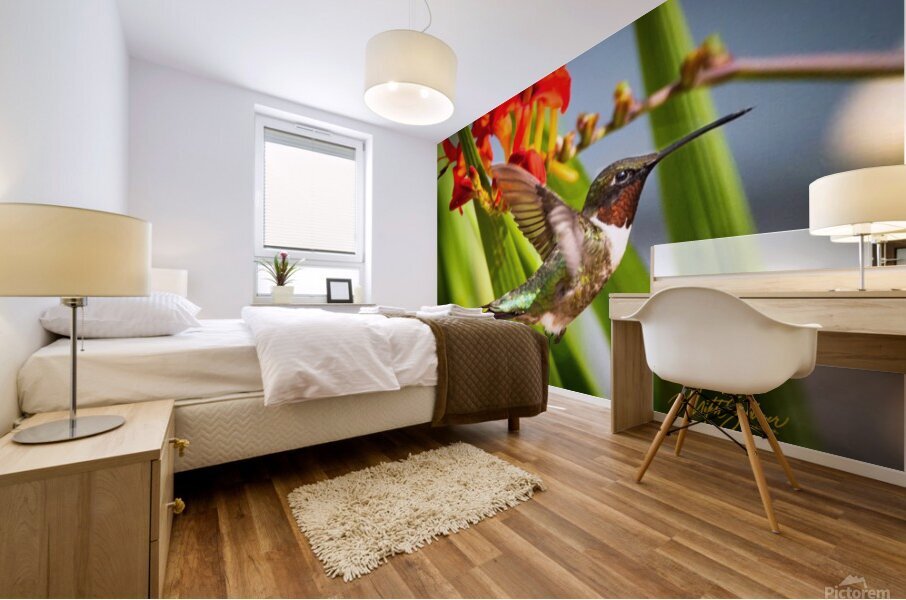 IMG 9466 Custom Mural print