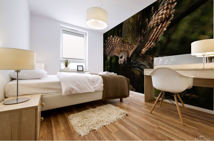 Founders2EagletsAudubonPWVictoryPointOwlsETCMP 34 Mural print