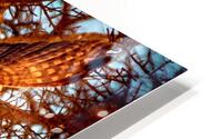 IMG 6445 HD Metal print