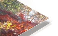 IMG 1580 HD Metal print
