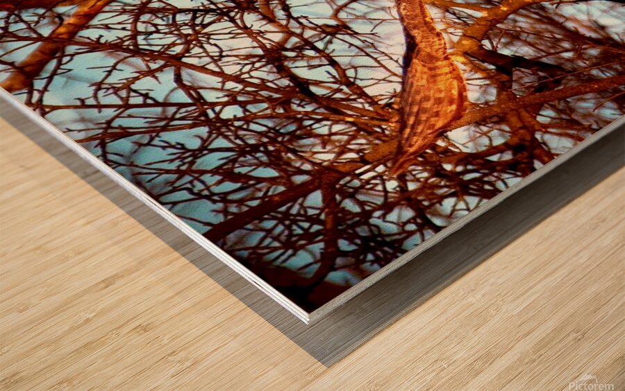 IMG 6445 Wood print