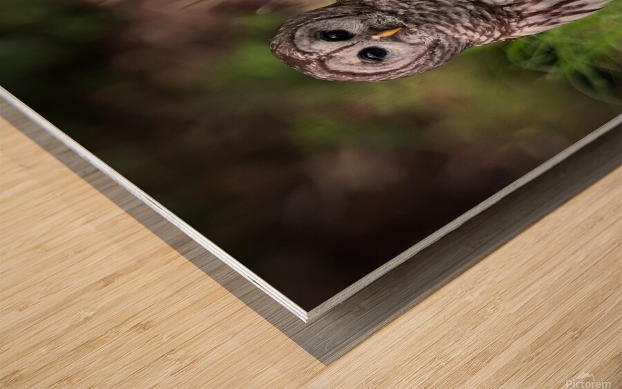 IMG 2487 Wood print