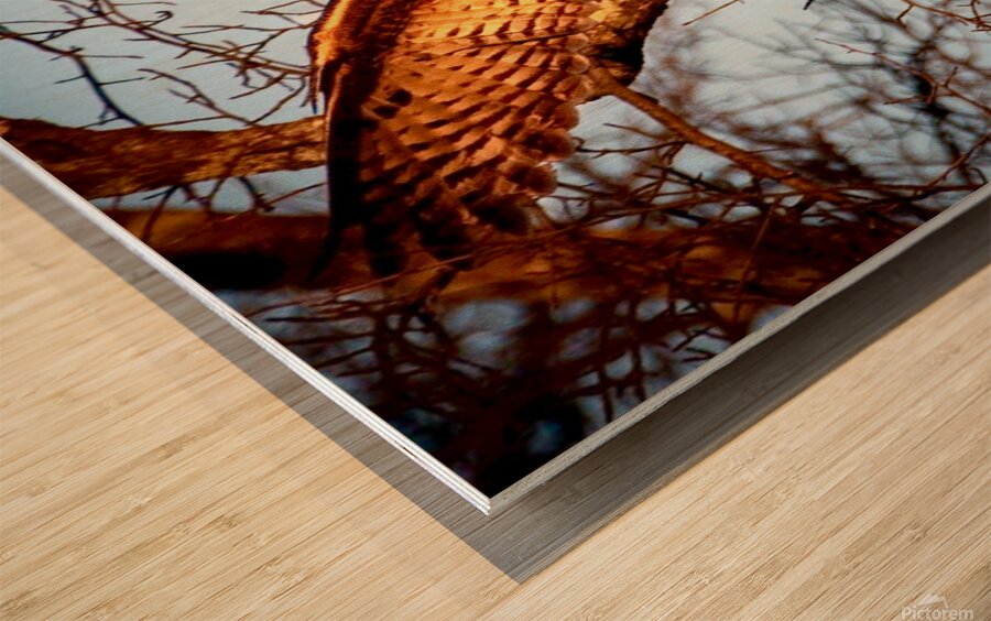 IMG 6447 Wood print