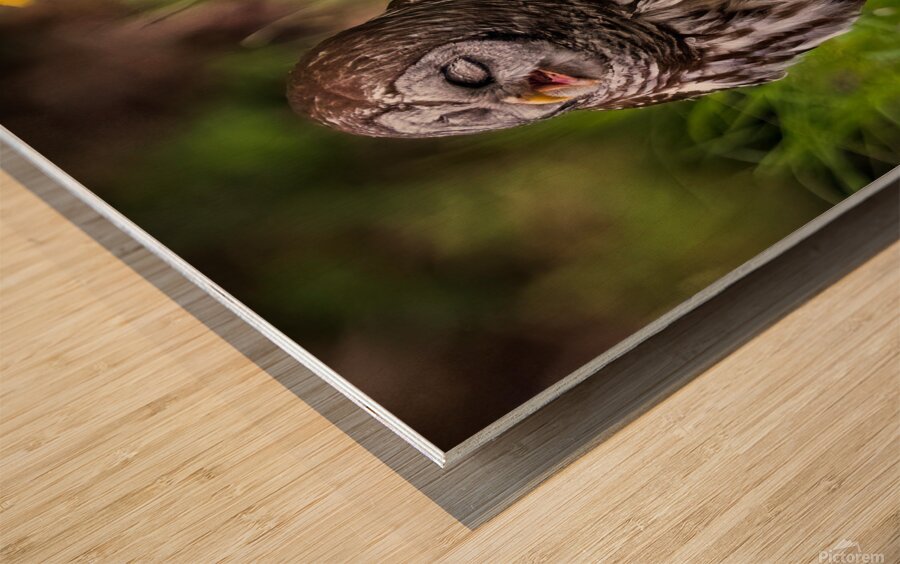 IMG 2518 Wood print