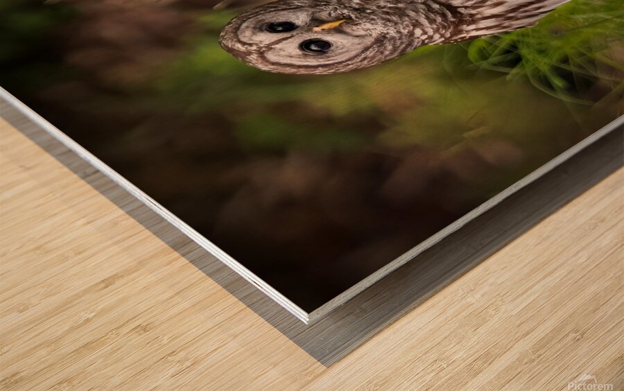 IMG 2527 Wood print