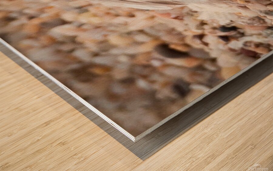 IMG 7516 Wood print