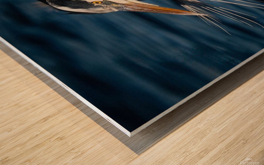 IMG 3334 Wood print