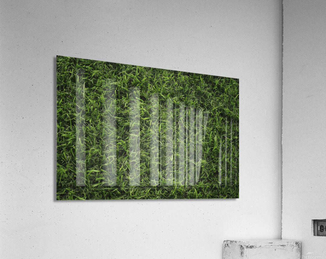 Green grass texture background grass garden concept used for making ...