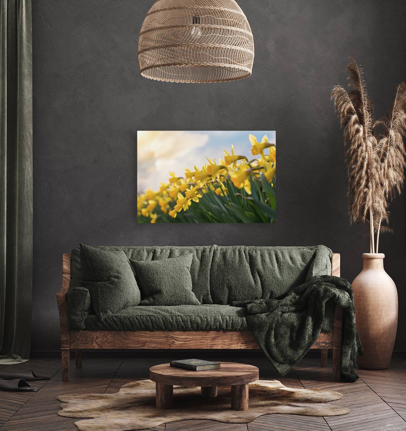Daffodils flower background Reproduction