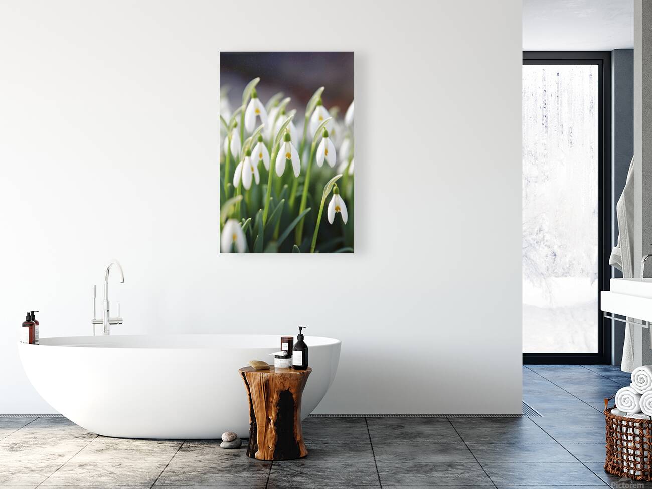 White Spring snowdrops Reproduction