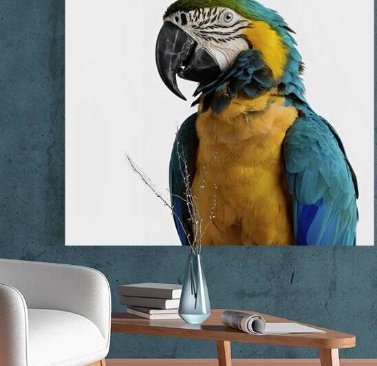 Blue Macaw on white background by Lupu Andrei