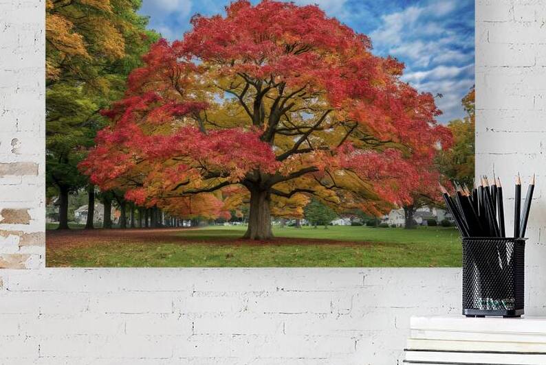 Autumn colorful bright leaves swinging in a tree in autumnal park by Lupu Andrei