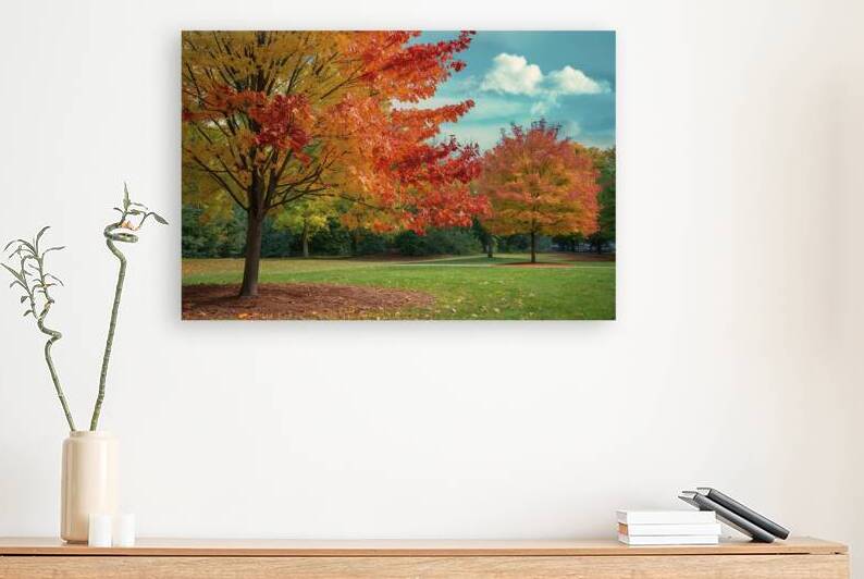 Autumn colorful bright leaves swinging in a tree in autumnal park by Lupu Andrei