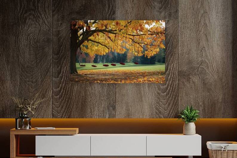 Autumn colorful bright leaves swinging in a tree in autumnal park by Lupu Andrei