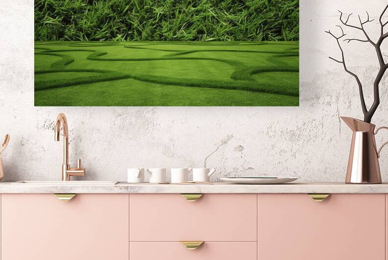 Green grass texture background grass garden concept used for making green background by Lupu Andrei