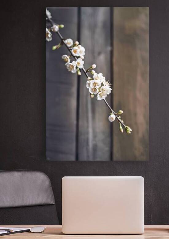 Blossoms of linden tree on wooden background by Lupu Andrei
