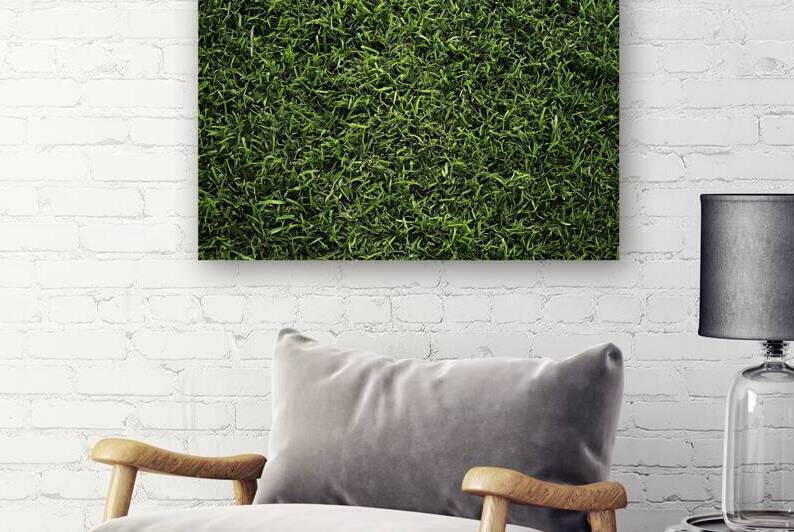 Green grass texture background grass garden concept used for making green background by Lupu Andrei