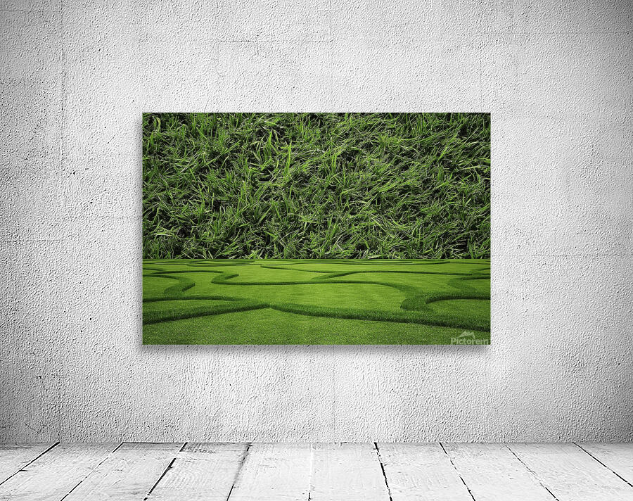 Green grass texture background grass garden concept used for making ...
