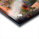 Herbal Elixir at Sunset Acrylic print